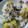 ナッツ627's cooksnap of when they made 簡単！あっさり さつまいもご飯.