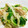 myとんすけ's cooksnap of when they made 白菜とツナのポン酢和え.