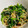 riea1130's cooksnap of when they made ほうれん草ともやしの胡麻和え.
