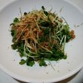 ゆみらんたん's cooksnap of when they made あと一品に簡単！カイワレとかつお節の和物.
