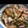 クック2ARSRP☆'s cooksnap of when they made 簡単あったかふわとろ色どり卵とじそば.