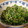 デーモン's cooksnap of when they made ご飯のお供・大根の葉とシラスの炒め.