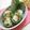 メルティローズ's cooksnap of when they made 豚肉のサラダ✩味噌マヨネーズたれ.