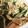 AYANA_10's cooksnap of when they made にらときのこの煮びたし。.