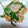 クックN5ZWH3☆'s cooksnap of when they made ピーマンとしらす干しと油揚げの炒め物.