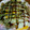 yurihime45's cooksnap of when they made 簡単&節約♪広島焼風野菜炒め.