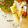 ついてるさとちゃん's cooksnap of when they made お豆の春巻き✳おやつにどうぞ✳.