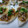 Natsutach's cooksnap of when they made 山芋のりマヨ焼き☆.