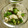 時花菜's cooksnap of when they made 長いもとおくらの塩昆布和え.