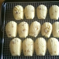 n0604's cooksnap of when they made 簡単♪栗のマドレーヌ.