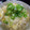 まぶたん's cooksnap of when they made 掻き揚げの卵とじ.