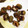 山Ｐラブリー's cooksnap of when they made タコの唐揚げ青海苔風味.