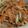 クック2AWLAS☆'s cooksnap of when they made 懐かしの味きんぴらごぼう.