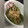 かえぴー。's cooksnap of when they made ししとうの煮物.