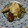 はーどらぶ。。's cooksnap of when they made なすとししとうの煮浸し.
