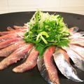 れな犬's cooksnap of when they made 家庭用包丁で作る生食サンマ(刺身～酢〆).