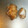 おまめちゃん♥️'s cooksnap of when they made 生姜の保存.
