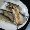 高田しょこ's cooksnap of when they made 秋刀魚と猫ちゃん.
