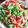 クックYZE7GF☆'s cooksnap of when they made タコライス.