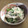 スージー＆ジル's cooksnap of when they made ✿レンジで簡単✿えのきオクラさっぱり和え.