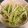 るる＊。's cooksnap of when they made もやしのナムル.