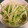 るる＊。's cooksnap of when they made もやしのナムル.