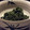 スローライフさん's cooksnap of when they made しその実の醤油漬け2.