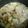 キットン☆'s cooksnap of when they made 体ぽかぽかスパイシー！花椒の水餃子鍋.