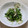 めなよ's cooksnap of when they made きのこと豆苗のガーリック炒め♪.
