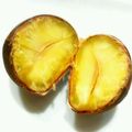 RIKOTORA's cooksnap of when they made 超簡単！ほっくりな蒸し栗♪.