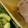 yamame6jp's cooksnap of when they made びんちょうまぐろとアボカドのお寿司.