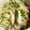 ☆Dokin☆'s cooksnap of when they made 超特急！かまぼこサラダ.