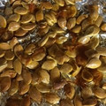 クック8N4RMO☆'s cooksnap of when they made おーつーまーみー☆かぼちゃの種.