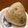 よよっち♪'s cooksnap of when they made 鮭の中骨水煮缶の梅マヨおにぎり.