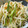 低カロ探検隊's cooksnap of when they made もやしと鮭フレークのナムル風.