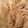 ｑｕｉｃｏ's cooksnap of when they made ちゃちゃっと！もやしナムル.