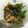 にゃこママ♪'s cooksnap of when they made 水菜豚丼.