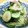 みっくママ's cooksnap of when they made きゅうりとワカメとミョウガの酢の物＊.