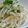 ＊ＷＡＳＡＢＩ＊'s cooksnap of when they made おすすめ♪チーズとえのきのピリ辛サラダ.