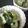 Nöööla♡'s cooksnap of when they made キュウリとワカメの酢の物.