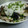 ckk0507's cooksnap of when they made なすとエリンギ さっぱり炒め.