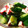 ぷぅぷぅこさん's cooksnap of when they made かぼすでタコとワカメとキュウリの酢の物.
