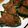 ハチワレねこ's cooksnap of when they made ピーマンの肉詰め照り焼き風.