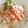 柳さき's cooksnap of when they made オリーブそうめん.