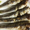 ぷるみき's cooksnap of when they made あかカマスの塩焼き、おろし、カボス添え.