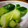たくやときみこ's cooksnap of when they made たたきキュウリとみょうがのさっぱり漬け.