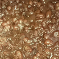 ヤナタン☆'s cooksnap of when they made 圧力鍋で簡単♡美味しい粒あんの作り方.
