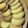白料_素人's cooksnap of when they made 塩バニラのディアマンクッキー.