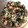 クックQC22S9☆'s cooksnap of when they made ニラと鯖の水煮缶和え.
