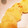 クック5XG66I☆'s cooksnap of when they made 簡単！！もっちもちいも餅.